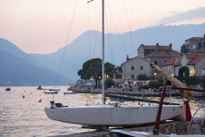 Cat on a sailboat at dusk